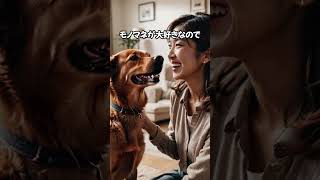 飼い主に本音を聞いてみたら…🤔 #dog #いぬの気持ち #いぬ好きさんと繋がりたい #いっぬ #犬動画 #犬のいる生活 #犬好き