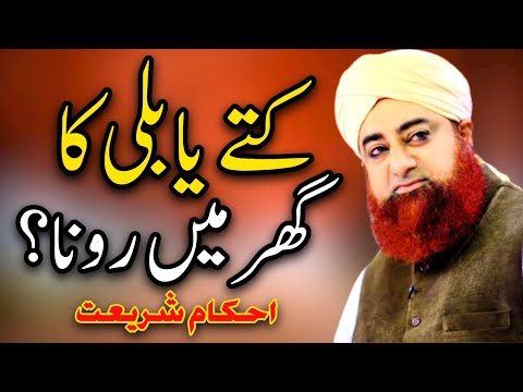 kuty ya billi ka ger my ronaa❓||Ahkam e shariyat❣|mufti akmal sahab🥰||Islamic Status💞||Status video❣