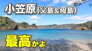 父島＆母島で過ごす極楽な3日間。小笠原諸島・父島を原付きツーリングしたり、ははじま丸で渡った雨の母島を散歩したり。【エンイチぶらり旅】