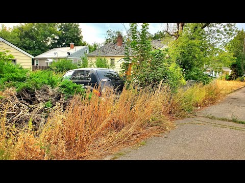 Parents Of DISABLED Son Blessed With A FREE Yard Cleanup