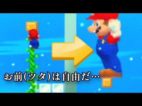 【Newマリオ】ツタのストッパーを壊したらどこまでも伸びるの？