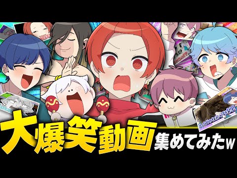 【神回】いれいす4年間で一番面白い動画が決定しましたwwwwww