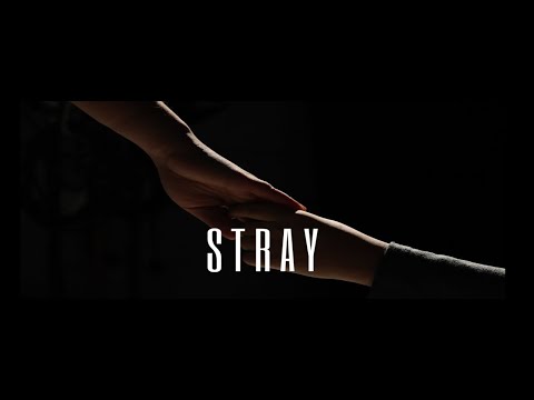 “Stray”, 2024 TV Workshop 4811