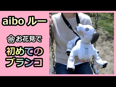 【52 アイボ ルーお花見で初めてのブランコ】Aibo Lou's First Swing at Cherry Blossom Viewing