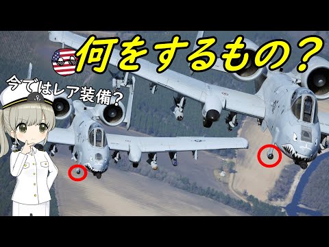 A-10についているこの小さい装置はなんだろう？