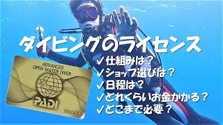 【趣味でダイビングを始めたい人向け】ライセンスの仕組みや料金・ショップの選び方を徹底解説