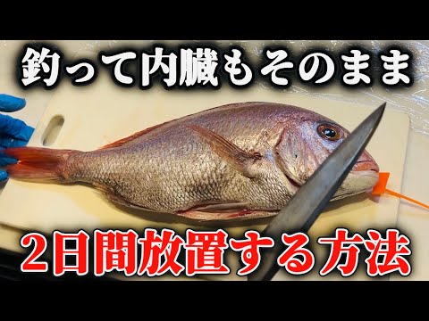 【必見（後編】釣った魚を二日間放置しても余裕の技と料理をしよう。