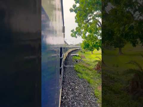 Train #ytshort  #viral #shorts #highspeedtrain #trending