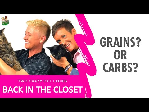 Do You Feed Your Cat Grains or Carbs? | Two Crazy Cat Ladies