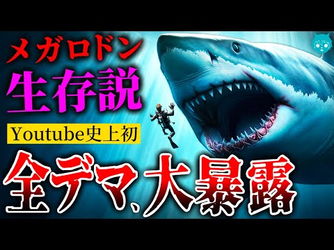 【決定版】メガロドン生存説、嘘の証拠をすべて暴いてみた結果