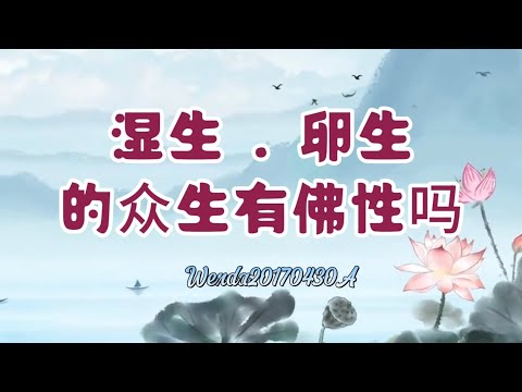 湿生、卵生的众生有佛性吗. Wenda20170430A玄艺问答《心灵法门》观世音菩萨.卢台长