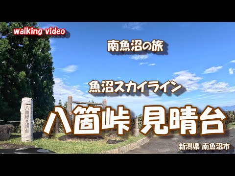 魚沼スカイライン 八箇峠見晴台 【お散歩シリーズ】 田沢小栗山線 新潟県 南魚沼市 24年10月18日