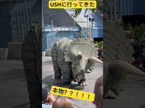 ジュラシックパークで恐竜に遭遇#観光 #アメリカ #ロサンゼルス #ユニバ #恐竜 #dinosaur #動物 #映画