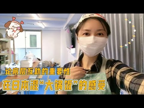 日本生活苦吗？在日本吃“大锅饭”是一种什么感受？团队合作社会【智君奈奈看日本Tokyo】