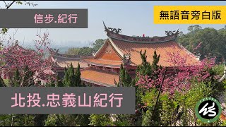 2024北投.忠義山賞花.踏青紀行