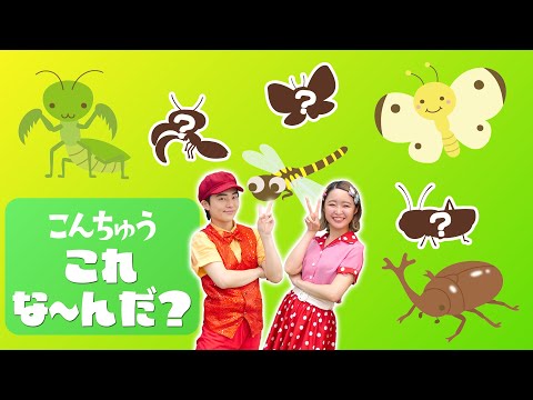 【型はめ】むし、これな〜んだ？🐝🐞🐜知育クイズ/うた【赤ちゃん喜ぶ・泣き止む・笑うダンス・歌】乳児・幼児向け知育・発育・運動 animal song covered by うたスタ