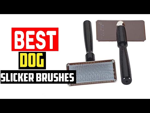 ✅Best Dog Slicker Brushes in 2023