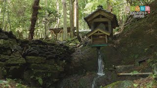 ふくい散策　湧水スポット  あわら市