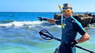 Epic Spearfishing Adventure: Catch, Cook, and Explore Baja's Hidden Wonders!