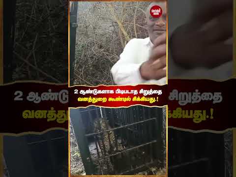 ஓசூர் அருகே, 2 ஆண்டுகளாக பிடிபடாமல் போக்கு காட்டிய சிறுத்தை சிக்கியது