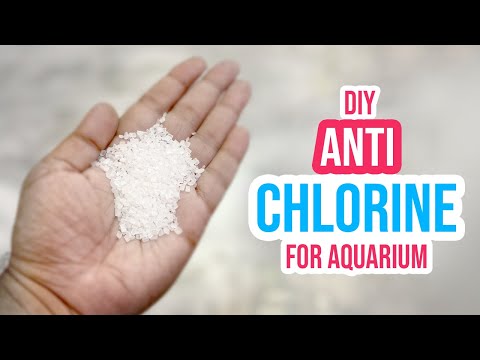 DIY Anti Chlorine: How to Remove Chlorine from Tap Water for Aquarium!