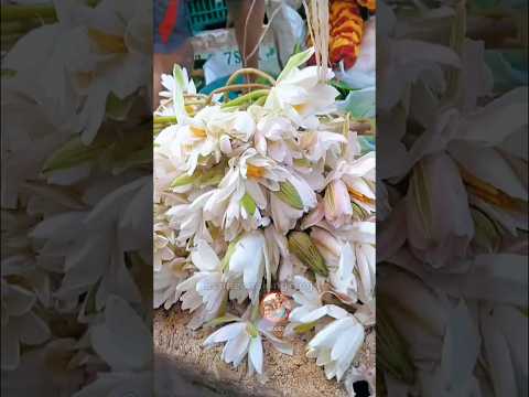 sravanamasam shopping🤩 ||#sravanamasam  ||#scubecookingvlogs  ||#scube3  ||#shopping  ||#flowers