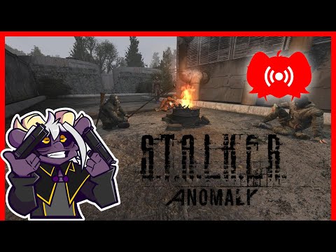 Get out of here, Stalker -- Stalker Anomaly Stream