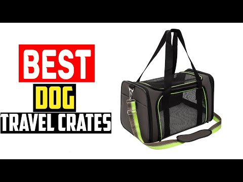 ✅Top 5 Best Dog Travel Crates in 2024