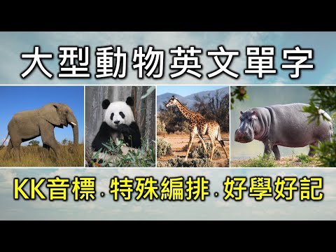 動物英文單字共24個+KK音標，看音標學單字。相同情境一起學，快速擴充單字量。單字記憶通，好唸，好記，學得快，增加學習樂趣，快速學習大量單字。