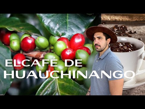 Bioruta del Café en Puebla, el Pueblo Mágico de Huauchinango #1