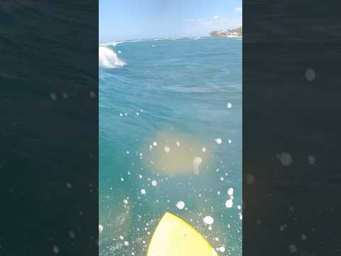 Taking off towards the peak #surf #cutback #povsurf #pov #surfing #oahu