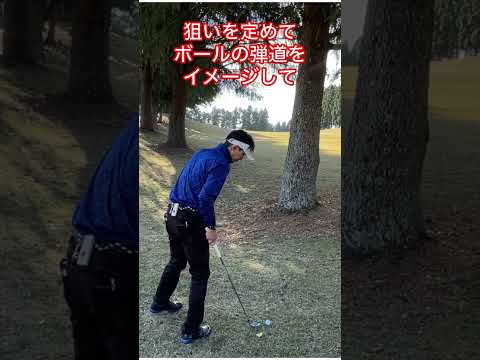 木の下からの脱出！#ゴルフ #ゴルフ上手くなりたい #golf #golfswing #shorts #shortvideo #short #golfer #ゴルフラウンド