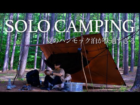 Hammock SOLO Camping in Forest of Japan (ddhammock, bush craft)