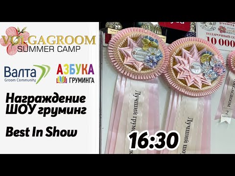 Награждение ШОУ, Best In Show