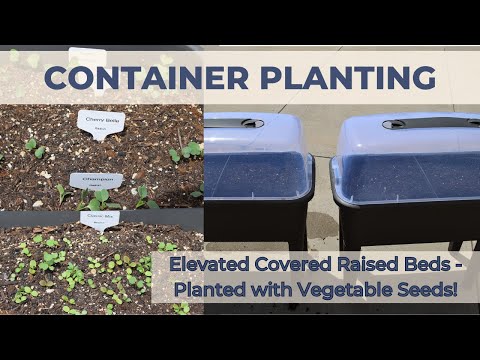 Elevated Covered Raised Garden Beds | Container Planting Vegetables | Small Space Gardening!