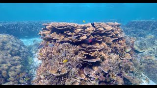 大度海岸　シュノーケリング　水中散策  糸満市