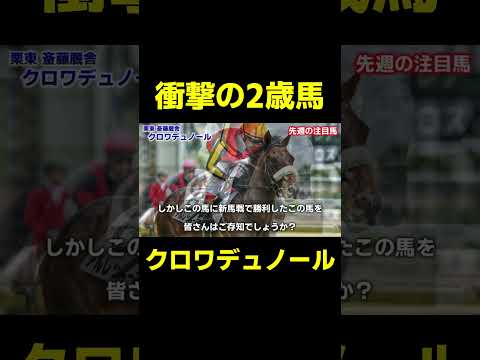 衝撃の２歳馬 クロワデュノール　#競馬 #競馬予想 #小倉記念 #関屋記念