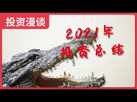 2021年投资总结