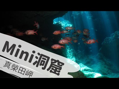 「沖繩潛水」真榮田岬海域《Mini洞窟》FUN DIVE休閒潛水