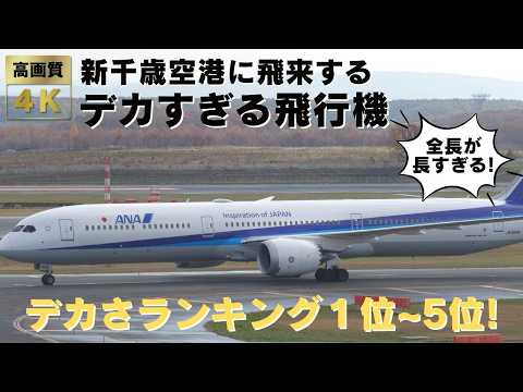 【新千歳空港 CTS】新千歳空港に飛来する巨大な飛行機ランキング１位～５位！迫力満点のデカすぎる飛行機の離着陸・地上走行をお届けします！