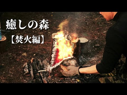 新年ブッシュクラフト癒しの森【焚火編】New Year bushcraft bonfire.