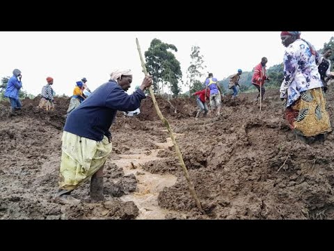 Dozens killed after landslides bury 40 homes in eastern Uganda