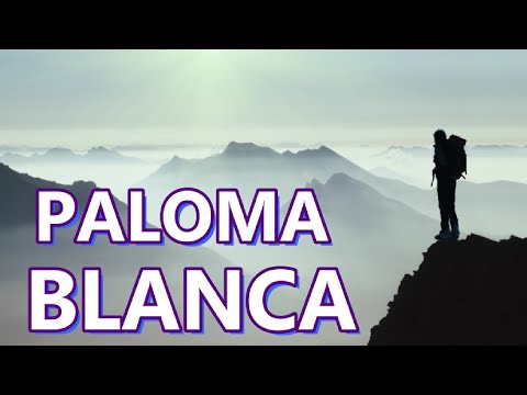 PALOMA BLANCA (Lyric Song by George Baker)