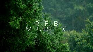 Spirit in the Woods | RFB Music | royalty free music