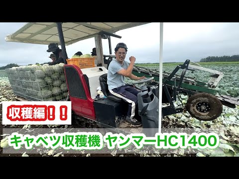 【キャベツ収穫機】ヤンマーHC1400収穫編