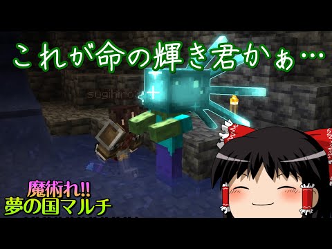 【マイクラ】魔術れ夢の国マルチ Part2【ゆっくり実況】