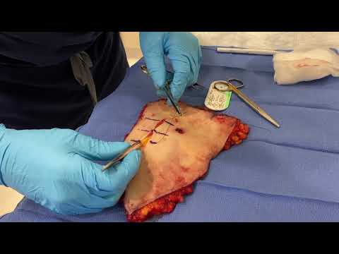 SUTURING 101 with a Board Certified Plastic Surgeon