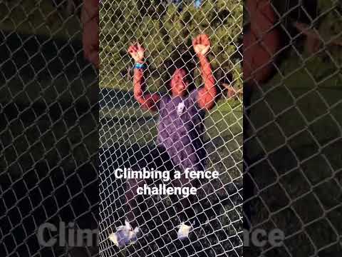 BLM climbs a fence! Wait for it😂😂 #fences #run #blmnation #sistersquad #challenge #rollcamera