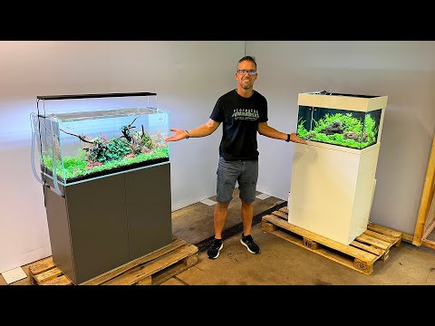 CAN LOW TECH EASY AQUASCAPES BE BEST?