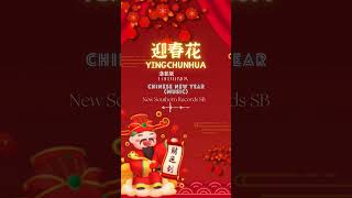 传统贺岁经典 I 迎春花 I OLD CHINESE NEW YEAR SONG I 洛菲版 I Lo-Fi Version （#lofi #迎春花）